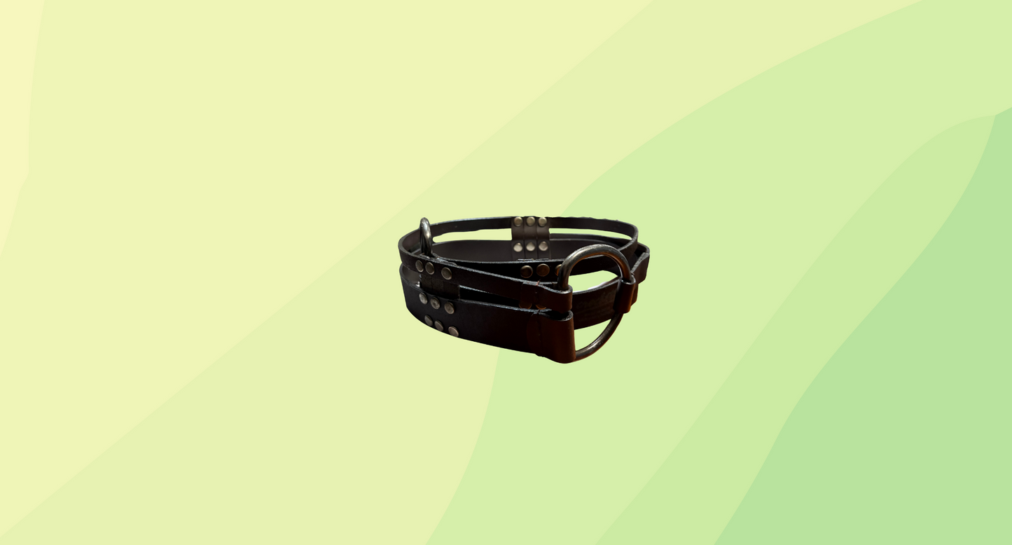 Crochetta Leather Belt RRP $89.95 - Chocolate