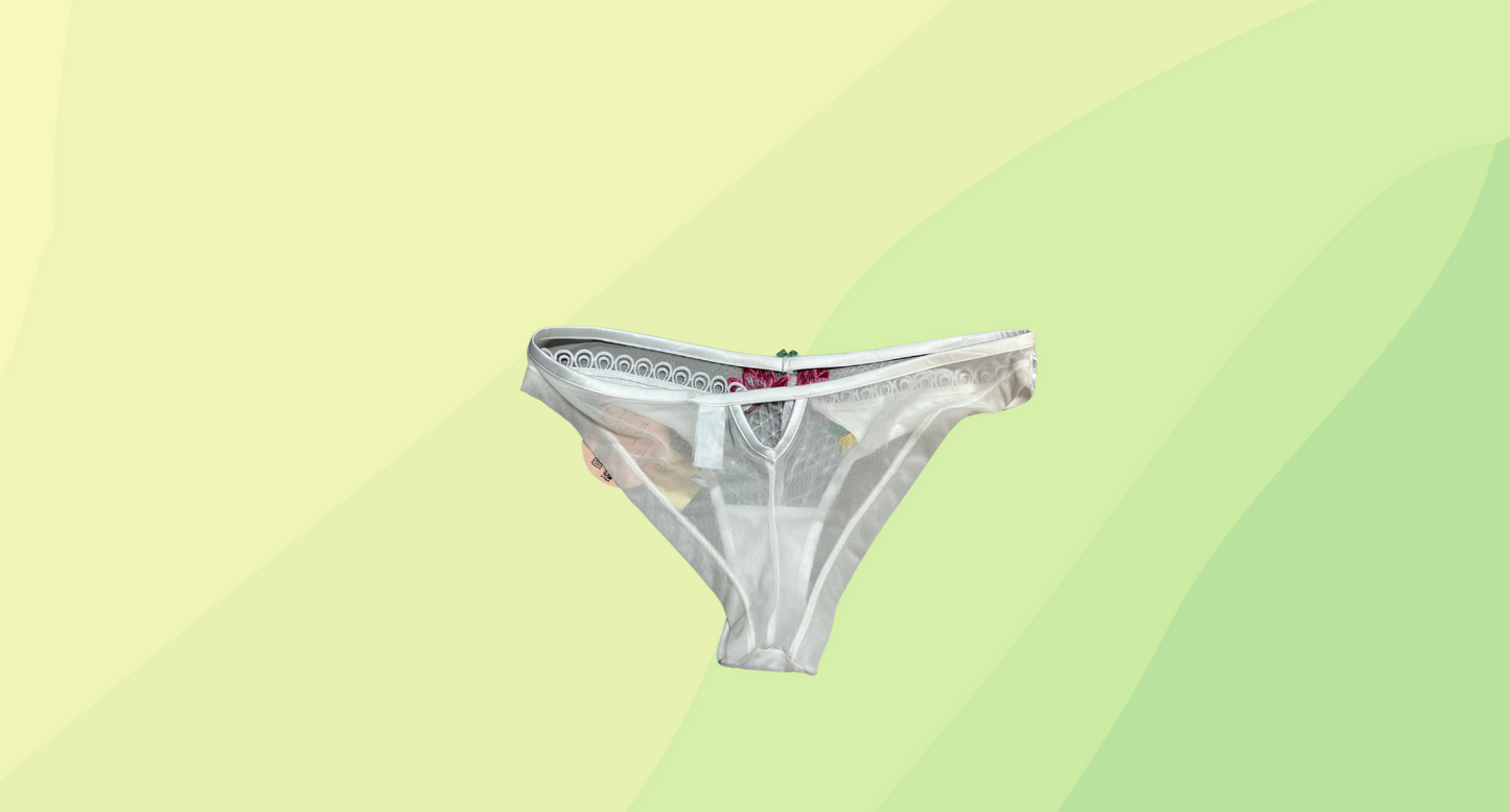 Bras & Things Midsummer Dreaming Brazilian Pant RRP $44.99 - Size 10 - Ivory/Multi