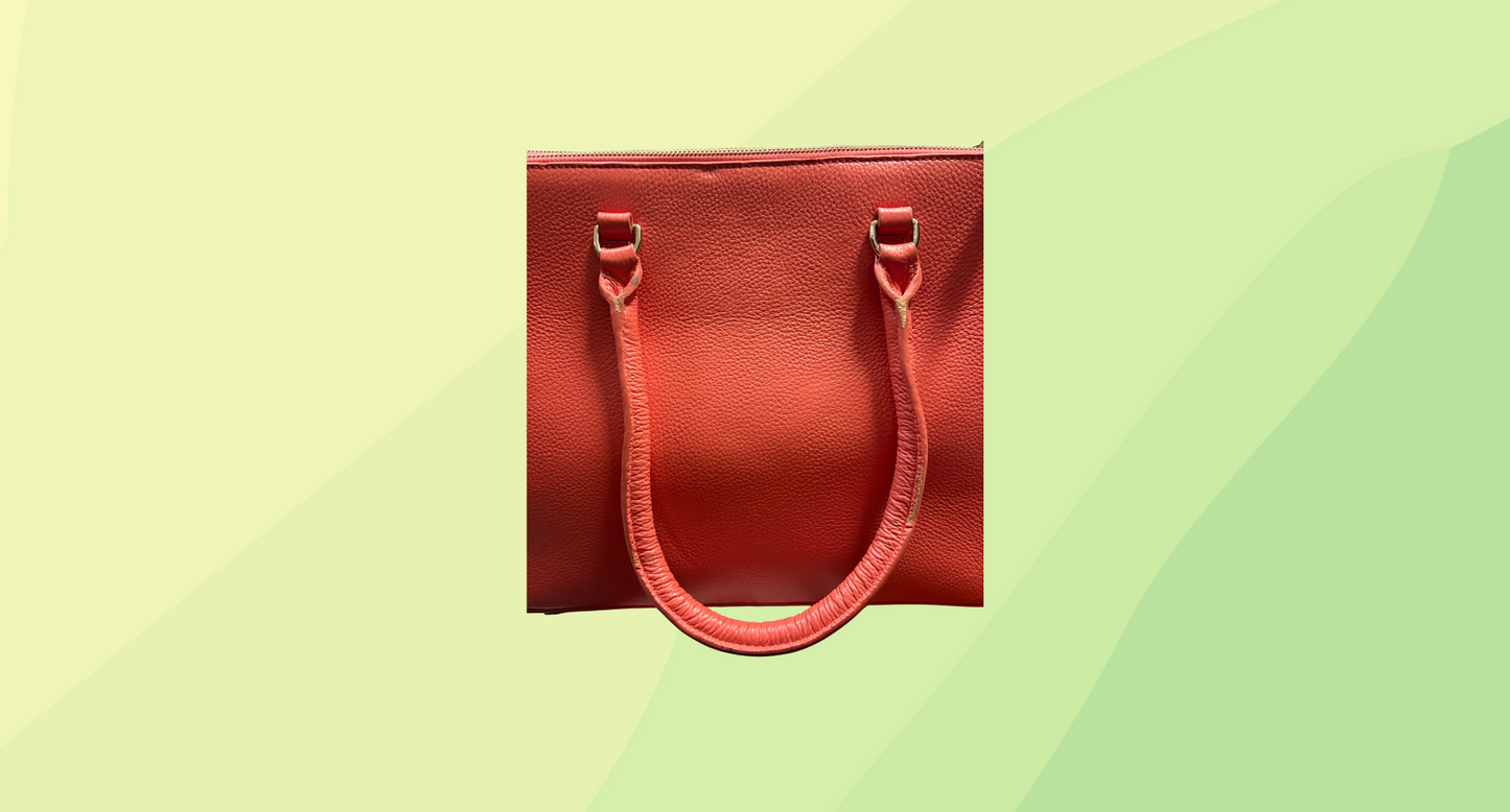 David Lawrence Leather Handbag - Salmon