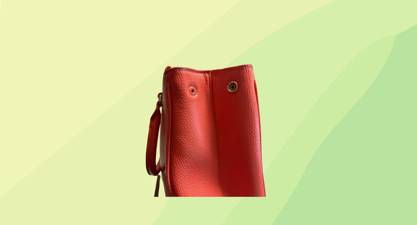 David Lawrence Leather Handbag - Salmon