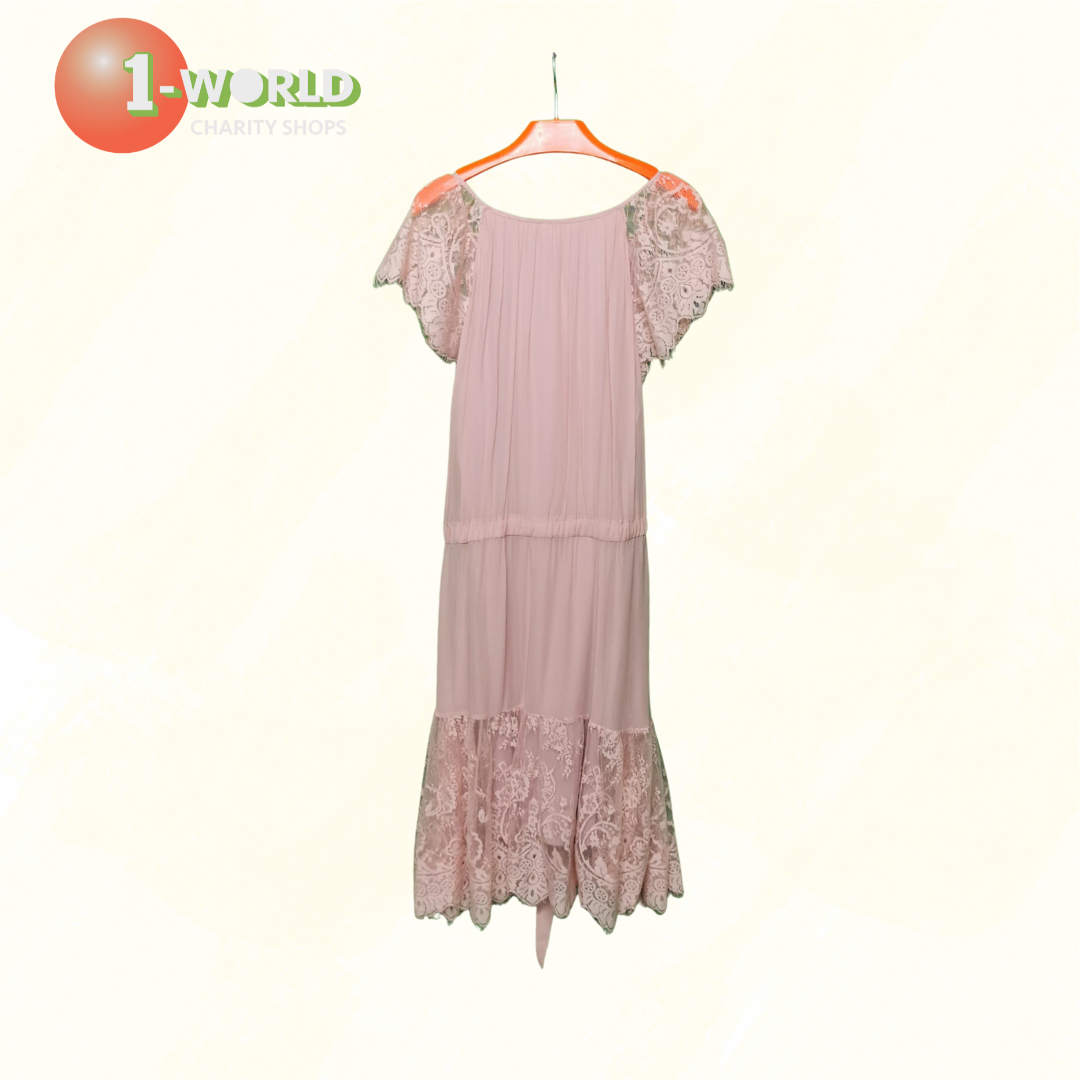 Leona Edmiston Kristie Dress with Lace - 5 Blush
