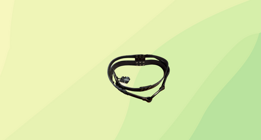 Crochetta Leather Belt RRP $89.95 - Chocolate