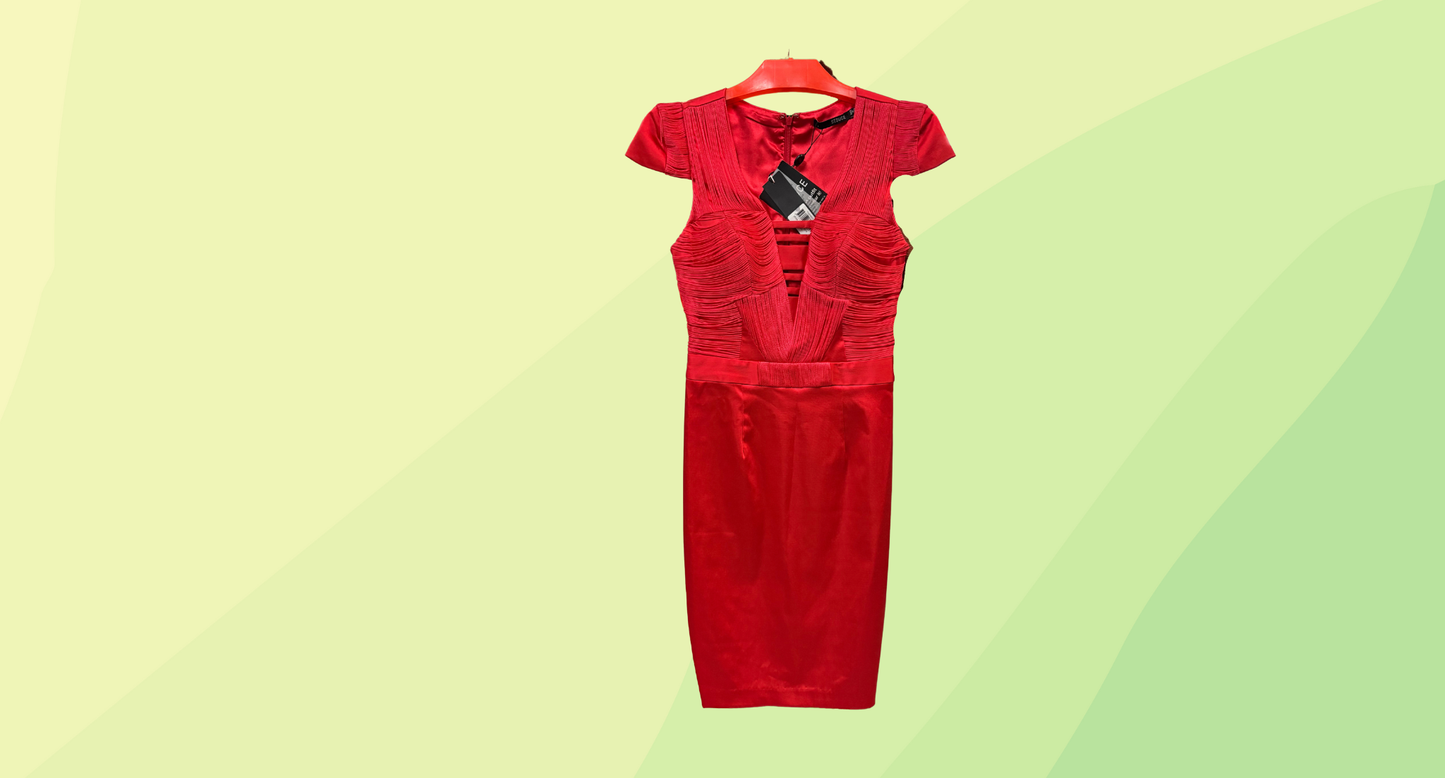 Seduce Fringe Dress RRP $199.95 - Size 6 - Lipstick