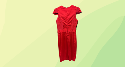 Seduce Fringe Dress RRP $199.95 - Size 6 - Lipstick