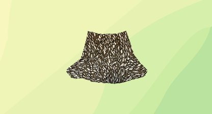 Sass & Bide Dream Bird Skirt - Size 10 - Khaki/Multi