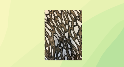 Sass & Bide Dream Bird Skirt - Size 10 - Khaki/Multi