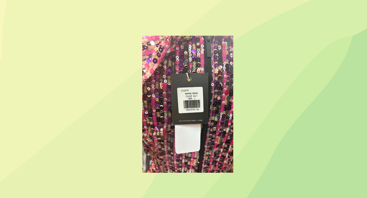 Eliya The Label Marnie Dress RRP $450 - L - Multi