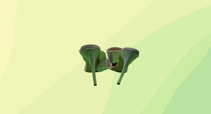 The Mode Collective Double Strap Mule - Size 37 - White Snake