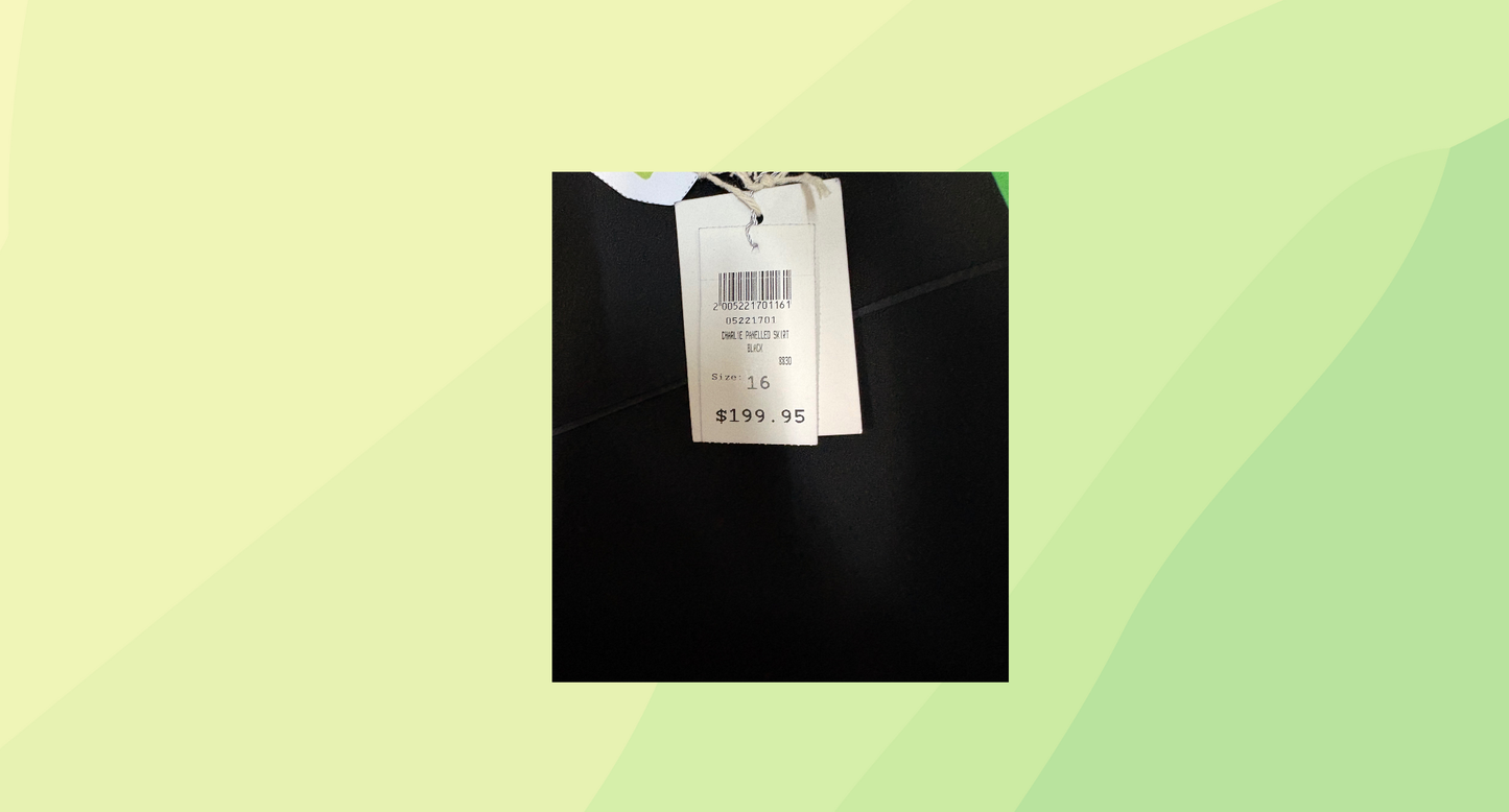 Queenspark Charlie Panelled Skirt RRP $199.95 - Size 16 - Black