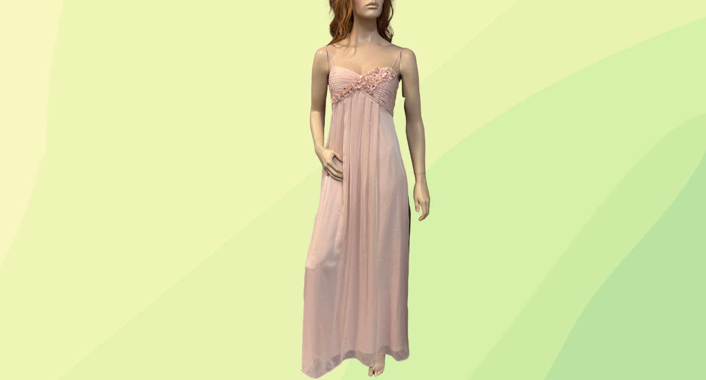 Adrianna Papell Flower Applique Gown RRP $200 - Size 8 - Blush